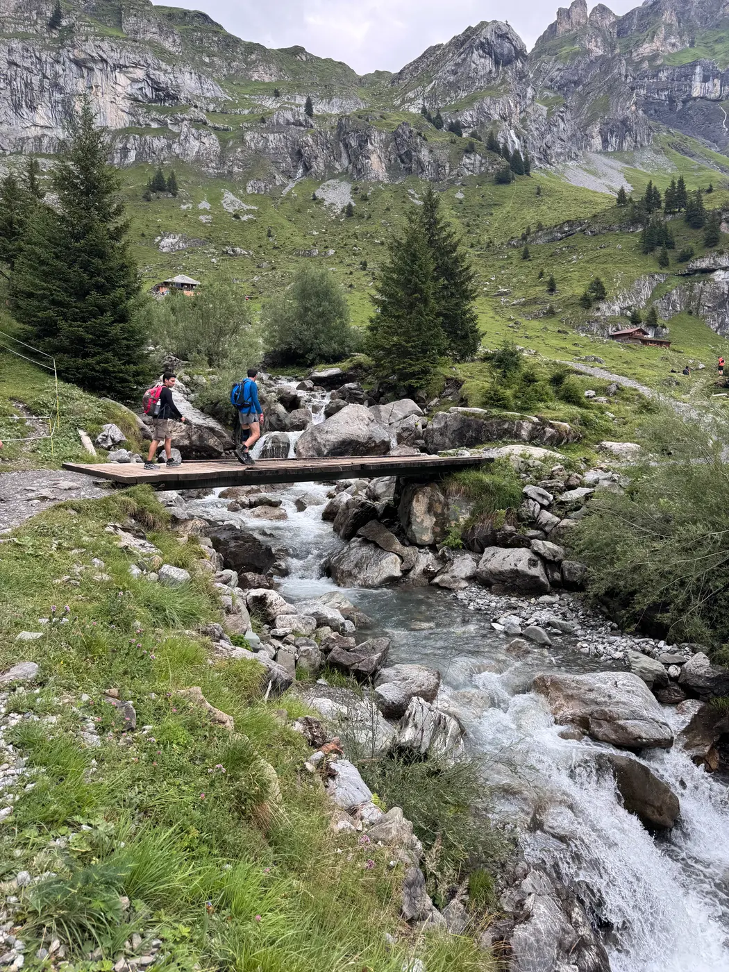 Podeț de lemn peste un pârâu de munte, pe traseul spre lac