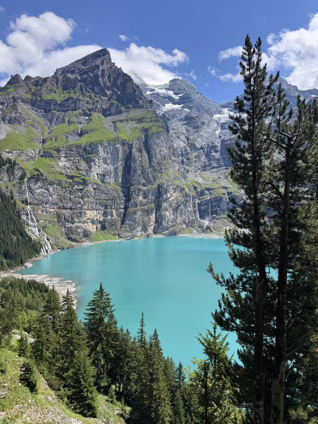 Lacul Oeschinensee văzut printre brazi, cu pereții de stâncă deasupra